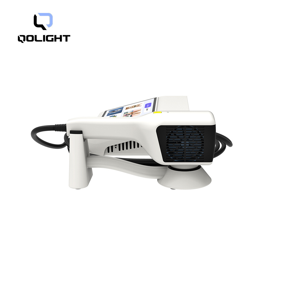 Professional Class 4 Portable Veterinary Laser Therapy Machine for Animal Hospital