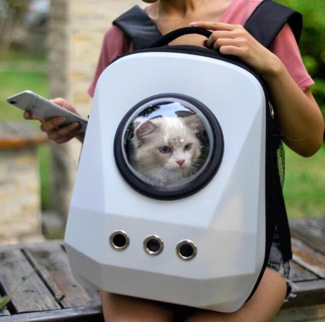 High Quality Transparent Bubble Recycled Outdoor Travel Space Capsule Astronaut Breathable Dog Cat Pet Carrier Backpack