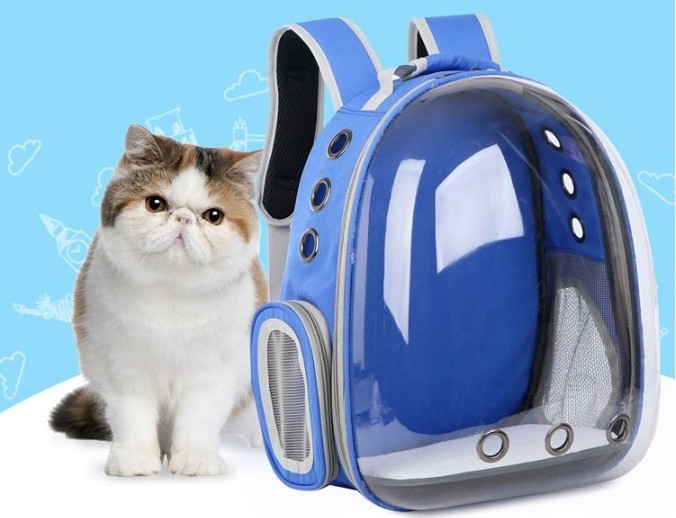 Airline Approved Space Capsule Bubble Transparent Puppy Pet Carrier Backpack