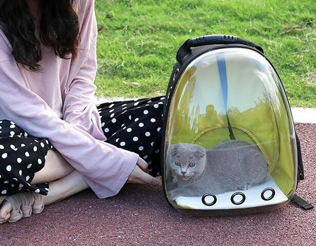 Airline Approved Space Capsule Bubble Transparent Puppy Pet Carrier Backpack