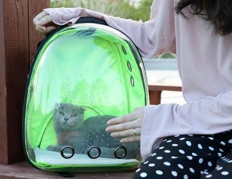 Airline Approved Space Capsule Bubble Transparent Puppy Pet Carrier Backpack