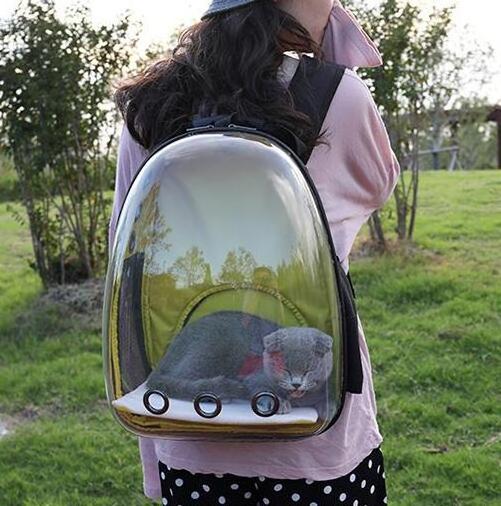 Airline Approved Space Capsule Bubble Transparent Puppy Pet Carrier Backpack