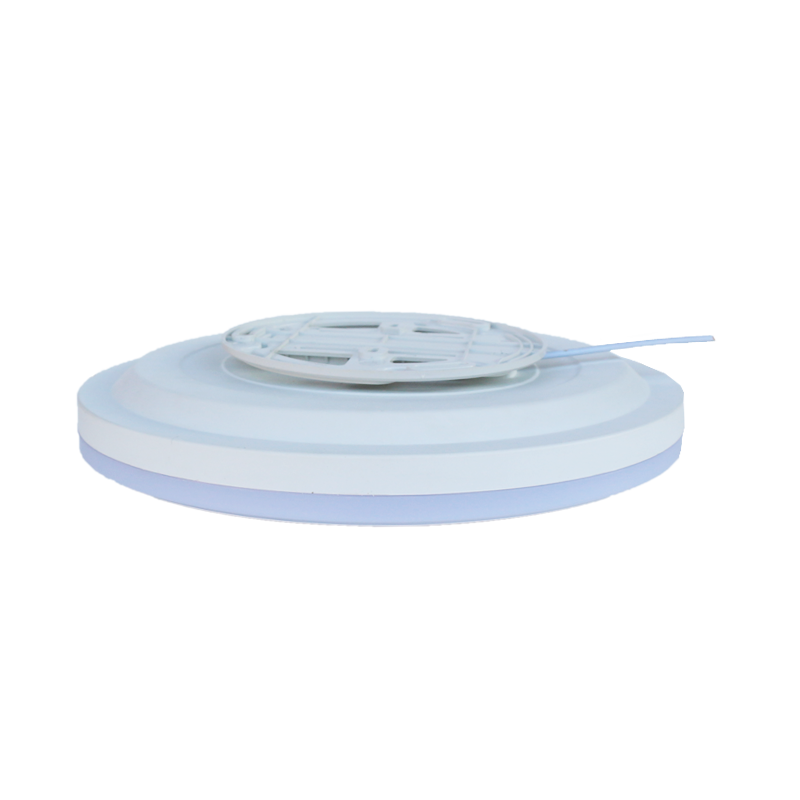 Modern Indoor LED Ceiling Light round Shape with Acrylic Cover Surface Mounted 24W IP44 Rated for Residential Use