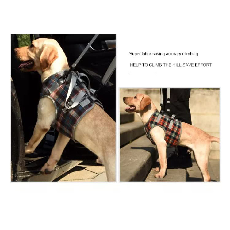 QQgift custom logo Dog Life Harness  Dog Harness Walking Aid for Dogs Especially for Problems with the Shoulder Carry Strap