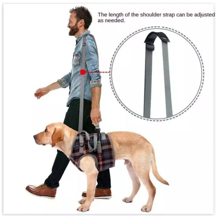 QQgift custom logo Dog Life Harness  Dog Harness Walking Aid for Dogs Especially for Problems with the Shoulder Carry Strap