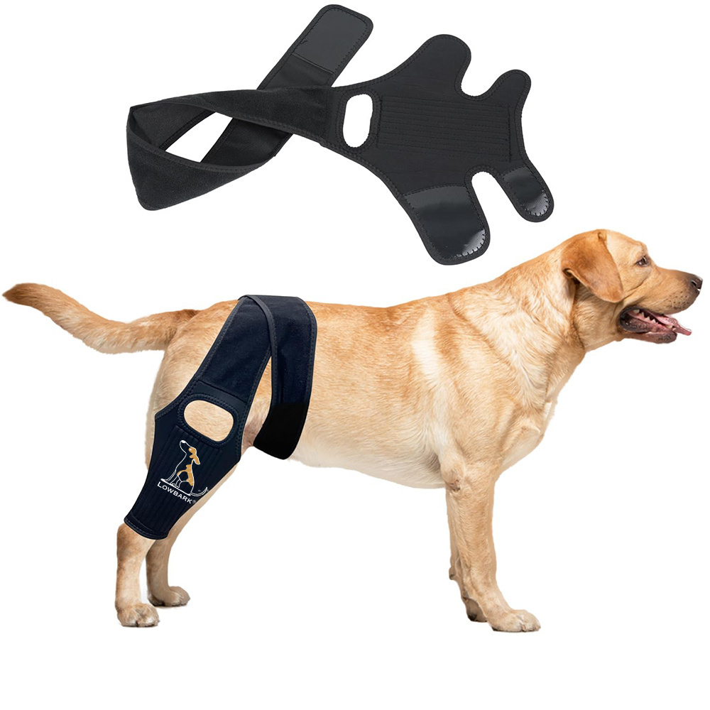 QQgift Custom Dog Knee Brace with Side Stabilizers for Dog ACL Adjustable Canine Shoulder Leg Hip Wraps for Arthritis & Torn CCL