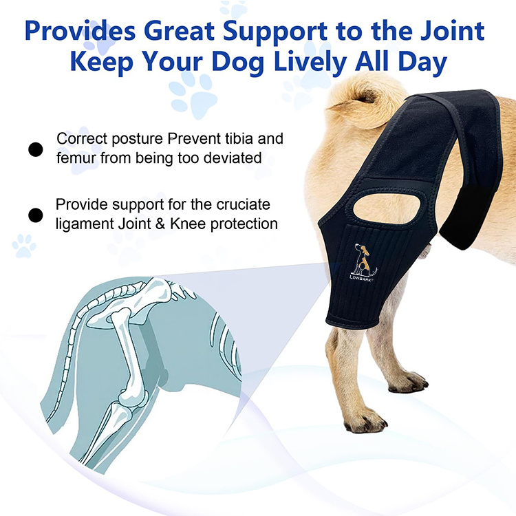 QQgift Custom Dog Knee Brace with Side Stabilizers for Dog ACL Adjustable Canine Shoulder Leg Hip Wraps for Arthritis & Torn CCL