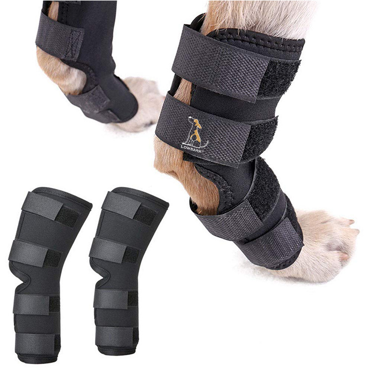 QQgift Custom Pack of 2 Dog Rear Leg Hock Bandage Rear Leg Protects Wounds Wrap Compression Clamp Heals for Wound Injuries