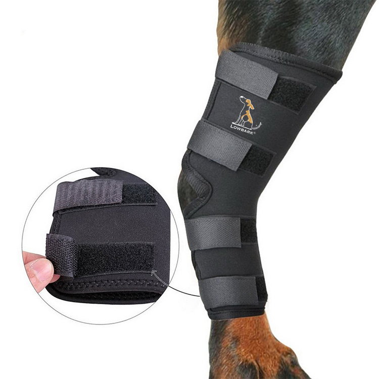 QQgift Custom Pack of 2 Dog Rear Leg Hock Bandage Rear Leg Protects Wounds Wrap Compression Clamp Heals for Wound Injuries