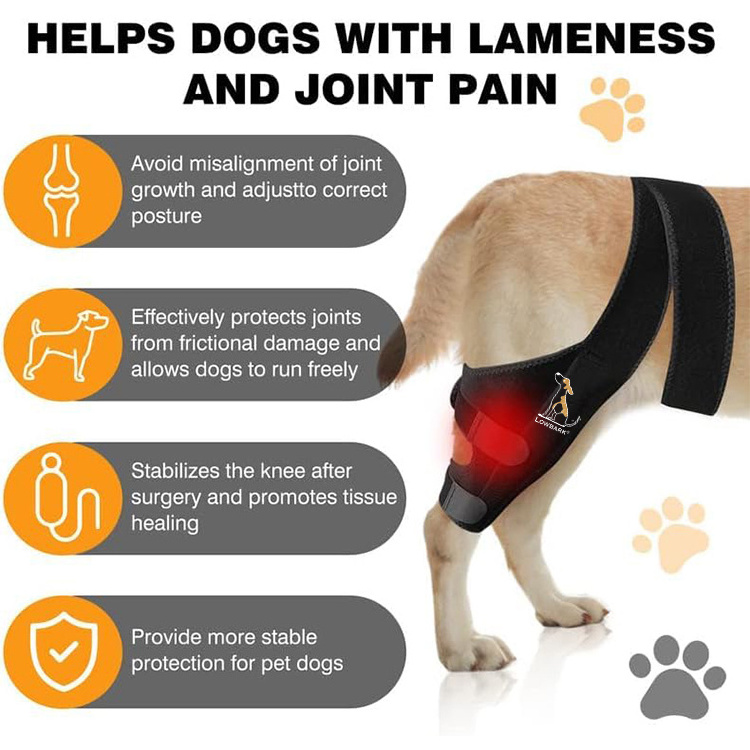 QQgift Custom stylish Dogs Knee Brace Dog Canine Knee Stifle Brace Wrap dog knee Brace for Torn ACL Hind Joint Pain