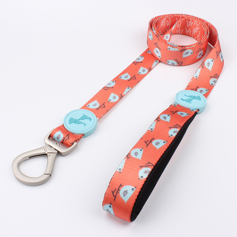 dog leash Eco-Friendly feature heat transfer print pet leash Custom Adjustable soft and comfortable QQPETS pet do leash