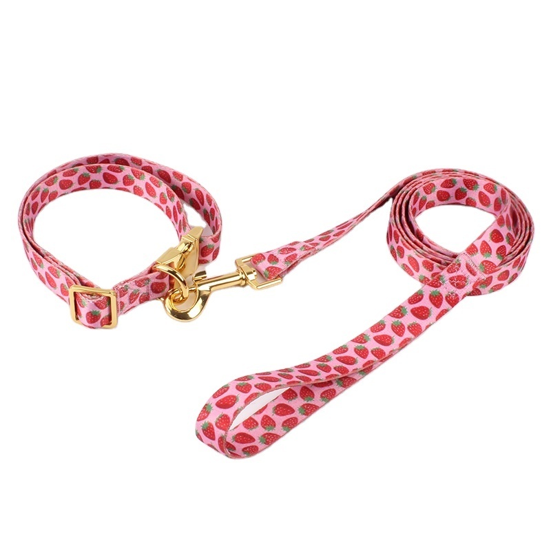 2024 Personalized Dog Collar with Metal Breakaway Buckle Hardware Custom Printed Fashion Pet Collar and Matching Style Leash