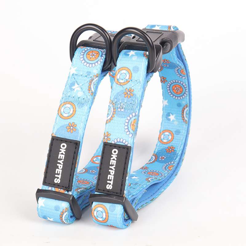 2024 Free Design Sublimation Print Logo Custom Dog Harness And Leash Set Wholesale Dog Collars Pet Supplies Factory