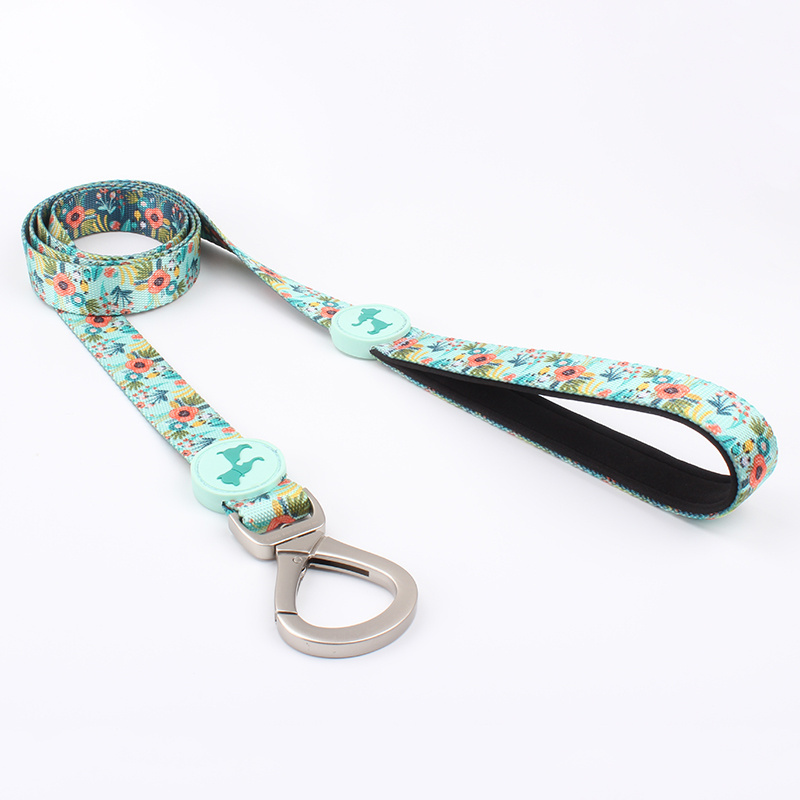 dog leash Eco-Friendly feature heat transfer print pet leash Custom Adjustable soft and comfortable QQPETS pet do leash