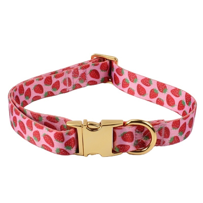 2024 Personalized Dog Collar with Metal Breakaway Buckle Hardware Custom Printed Fashion Pet Collar and Matching Style Leash