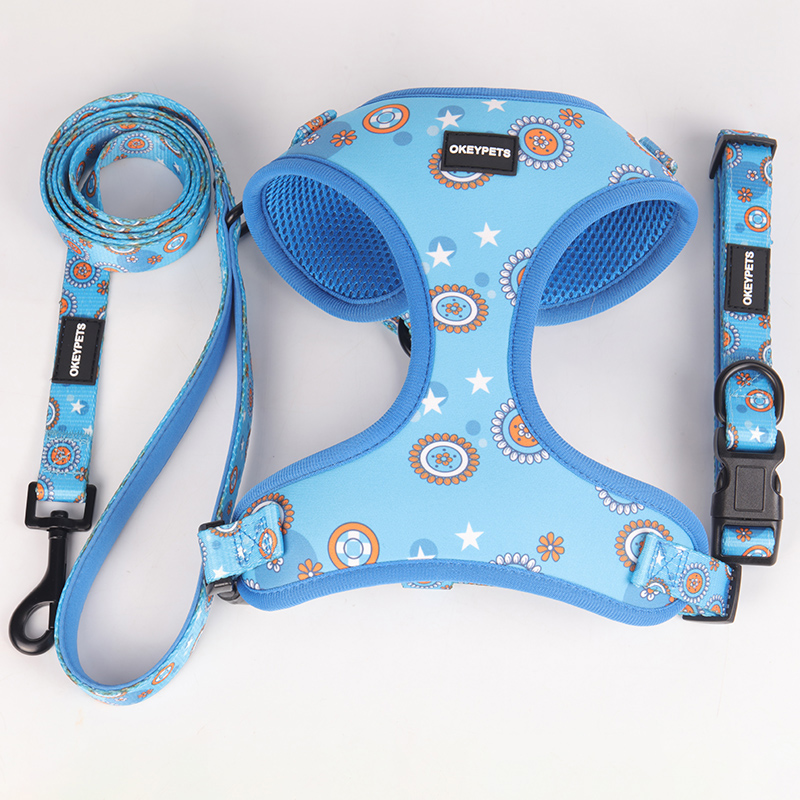 2024 Free Design Sublimation Print Logo Custom Dog Harness And Leash Set Wholesale Dog Collars Pet Supplies Factory