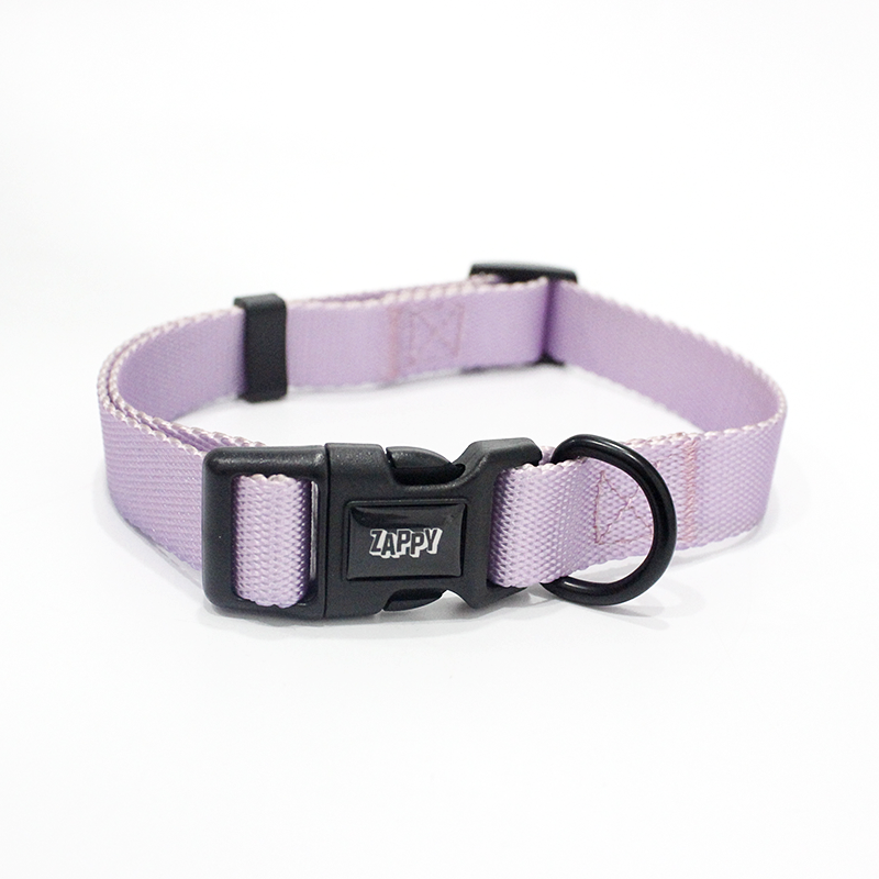 Dog Training Collar Adjustable for Small Medium Large pet and Puppies Accessories High Quality Nylon Basic Pet Dog Collar