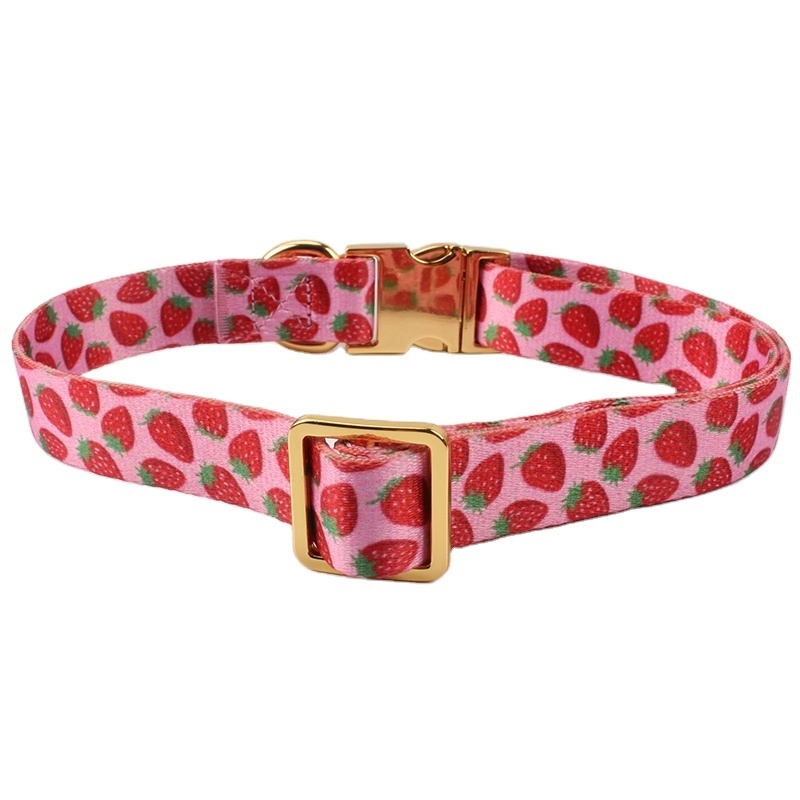 2024 Personalized Dog Collar with Metal Breakaway Buckle Hardware Custom Printed Fashion Pet Collar and Matching Style Leash