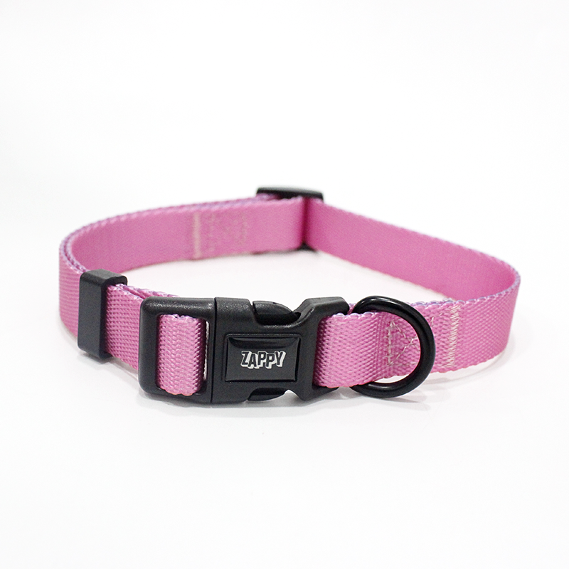 Dog Training Collar Adjustable for Small Medium Large pet and Puppies Accessories High Quality Nylon Basic Pet Dog Collar