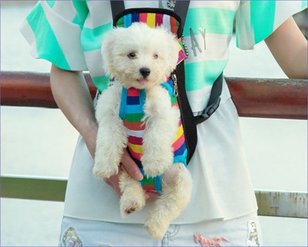 Outdoor Usage Rainbow Stripe Chest Bag Pet Travel Dog Chest Carrier Bag Pet Bag Carrier