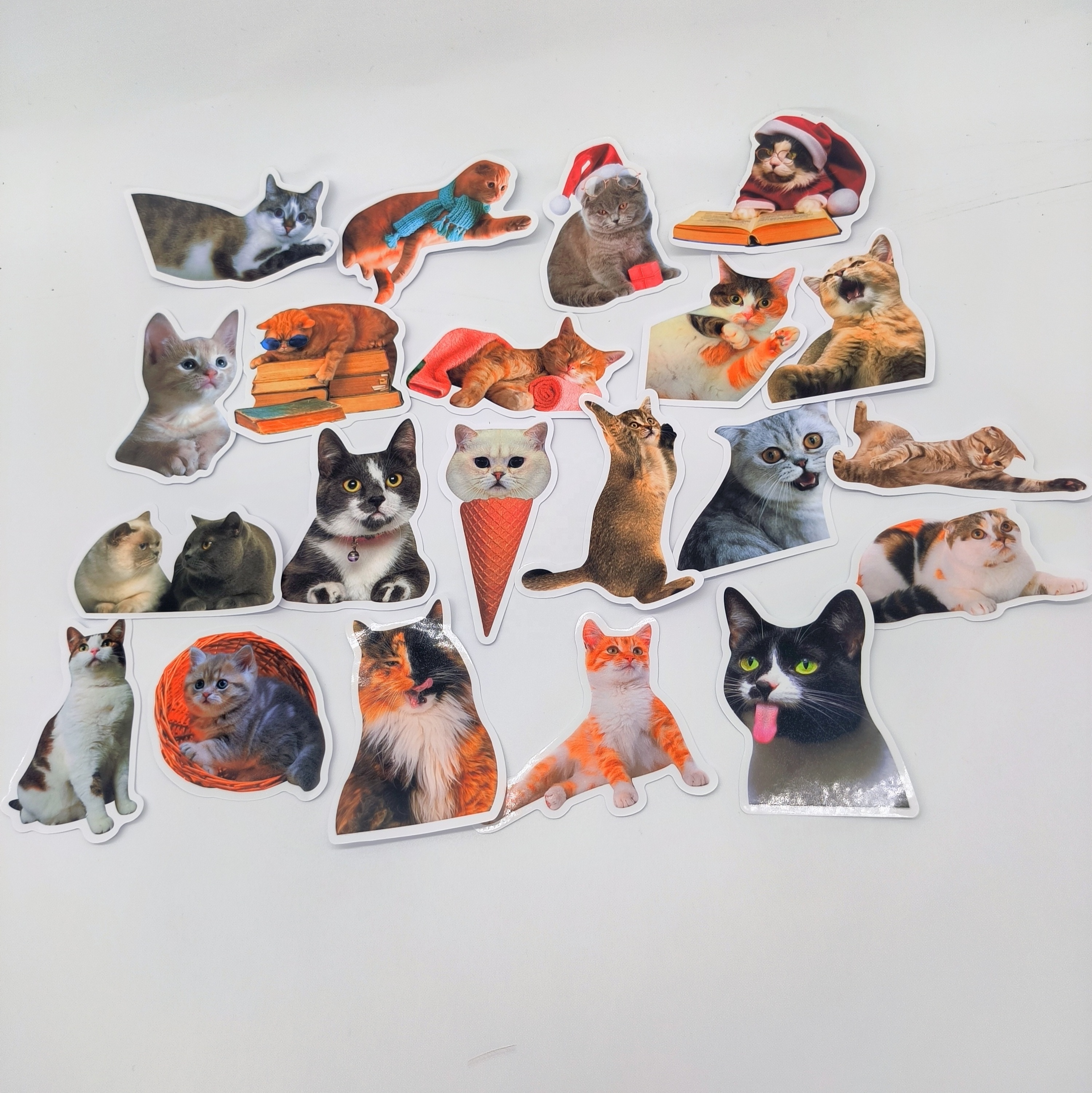 50Pcs Realistic Animal Cat Stickers For Children Home Table Fridge Bottle Wall Luggage Laptop Phone Sticker Decals