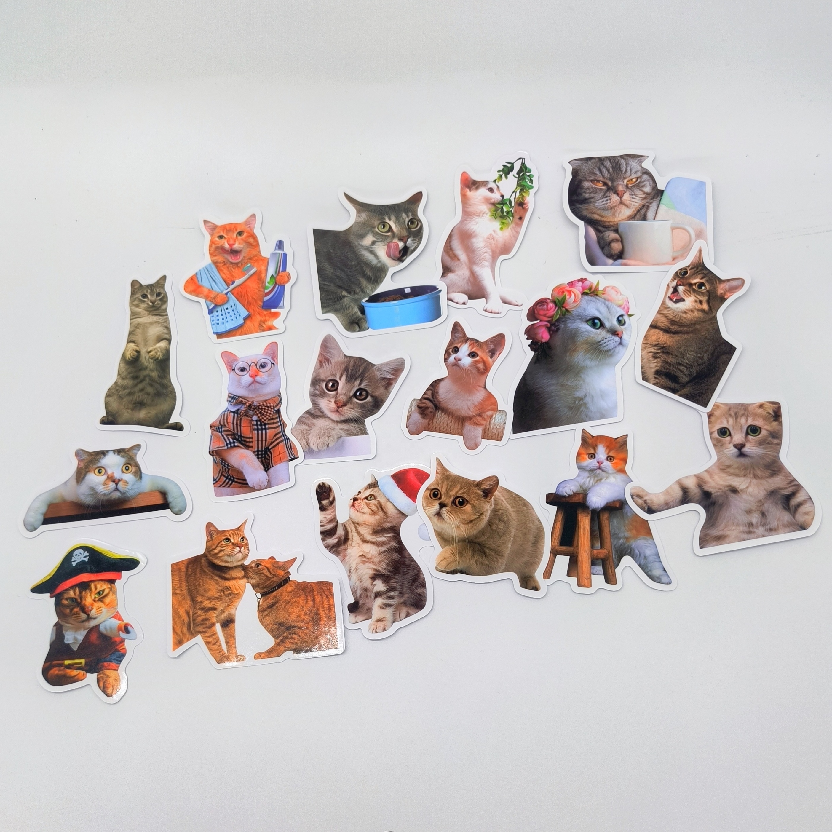 50Pcs Realistic Animal Cat Stickers For Children Home Table Fridge Bottle Wall Luggage Laptop Phone Sticker Decals