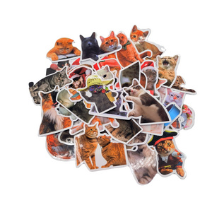 50Pcs Realistic Animal Cat Stickers For Children Home Table Fridge Bottle Wall Luggage Laptop Phone Sticker Decals