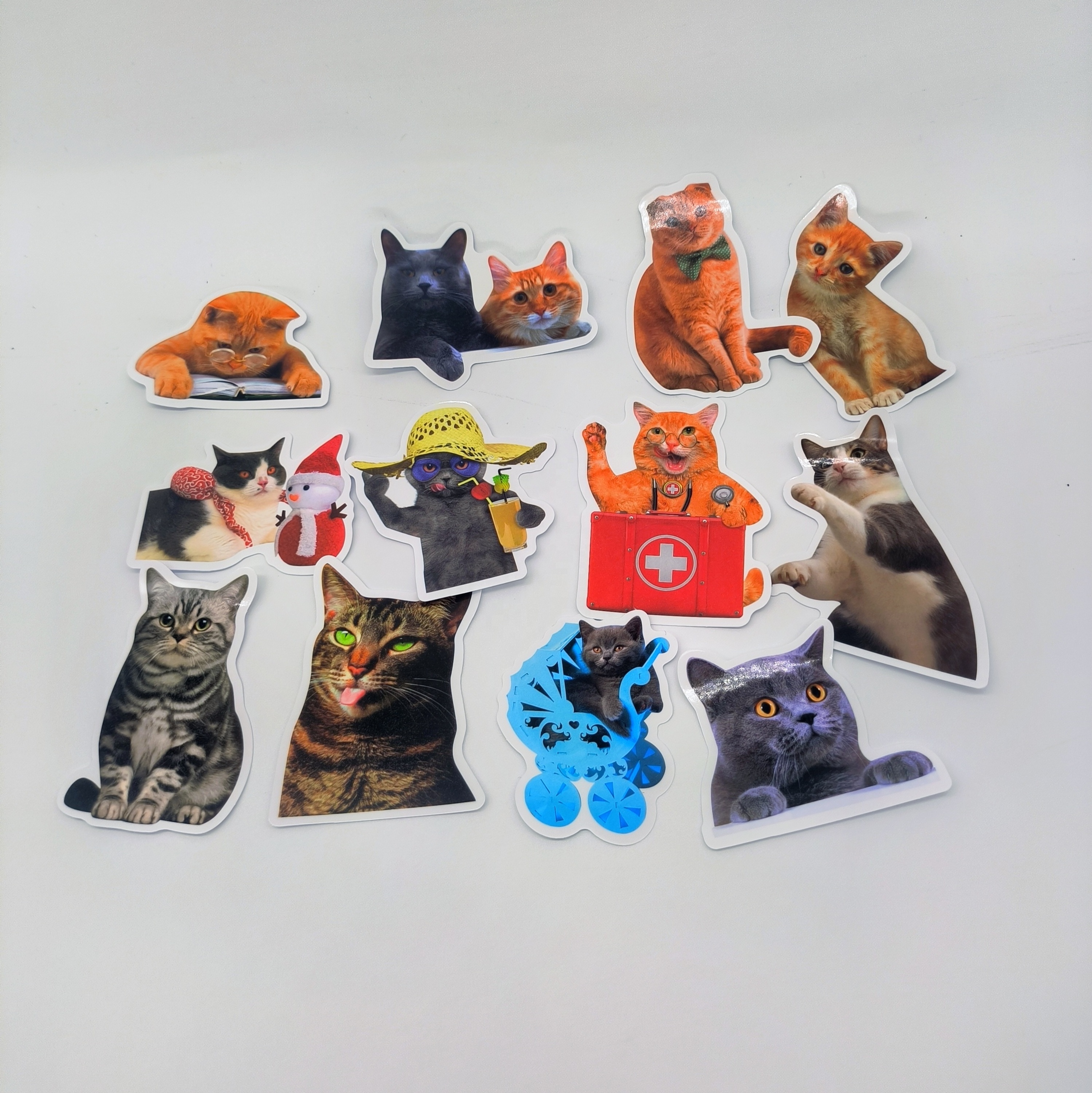 50Pcs Realistic Animal Cat Stickers For Children Home Table Fridge Bottle Wall Luggage Laptop Phone Sticker Decals