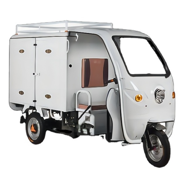 2023 Updated Design Electric Tricycle for Delivery Electric Cargo Tricycle with Closed Cargo Box Electric Truck