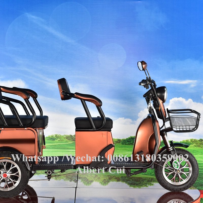 New Design Electric Rickshaw Adult Three Wheeler Family Use 3 Wheels Mini Tricycle In Philippine Hot Sale