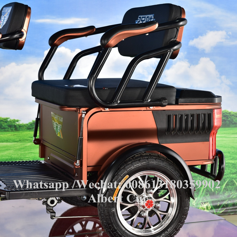 New Design Electric Rickshaw Adult Three Wheeler Family Use 3 Wheels Mini Tricycle In Philippine Hot Sale