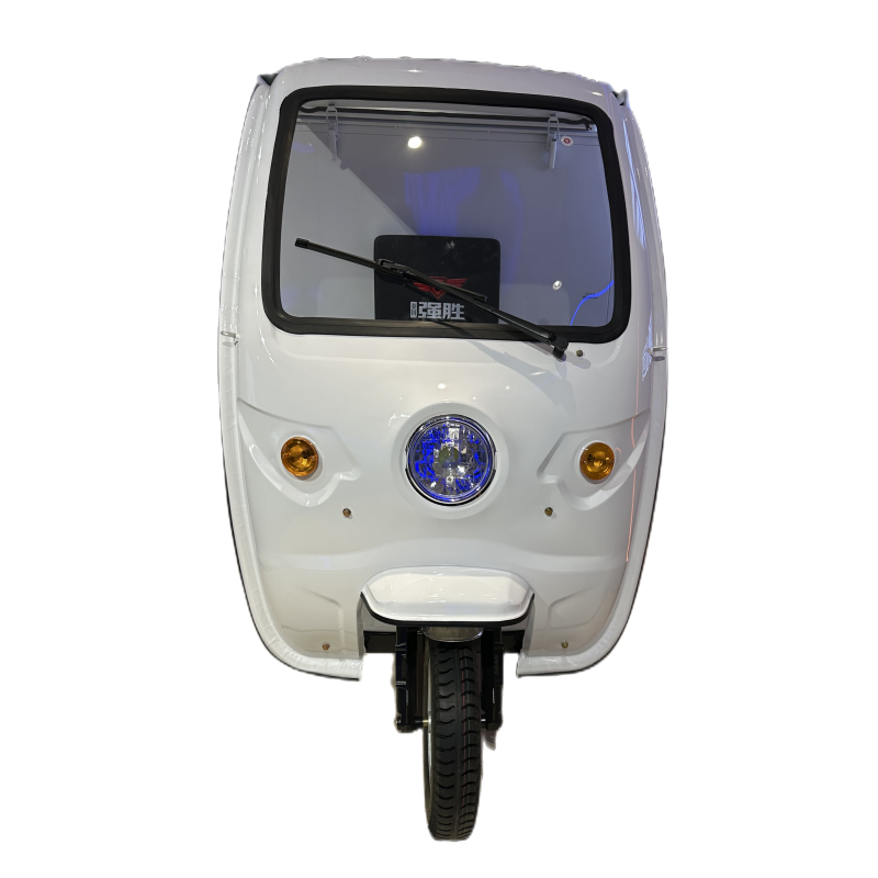 2023 Updated Design Electric Tricycle for Delivery Electric Cargo Tricycle with Closed Cargo Box Electric Truck