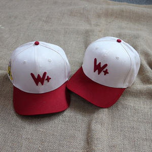 New Fashion Custom Cotton Embroidered logo 6 panel Baseball Hat outdoor cap for men and women