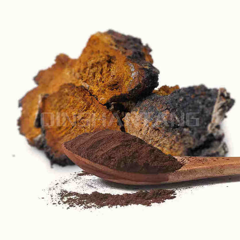 Food Grade Organic 10:1 Chaga Mushroom Extract Powder Chaga Extract 20% polysaccharide Chaga Extract Powder