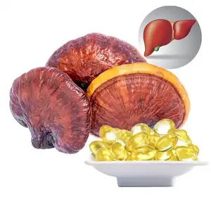 Reishi spore oil lingzhi capsule ganoderma lucidum spore oil