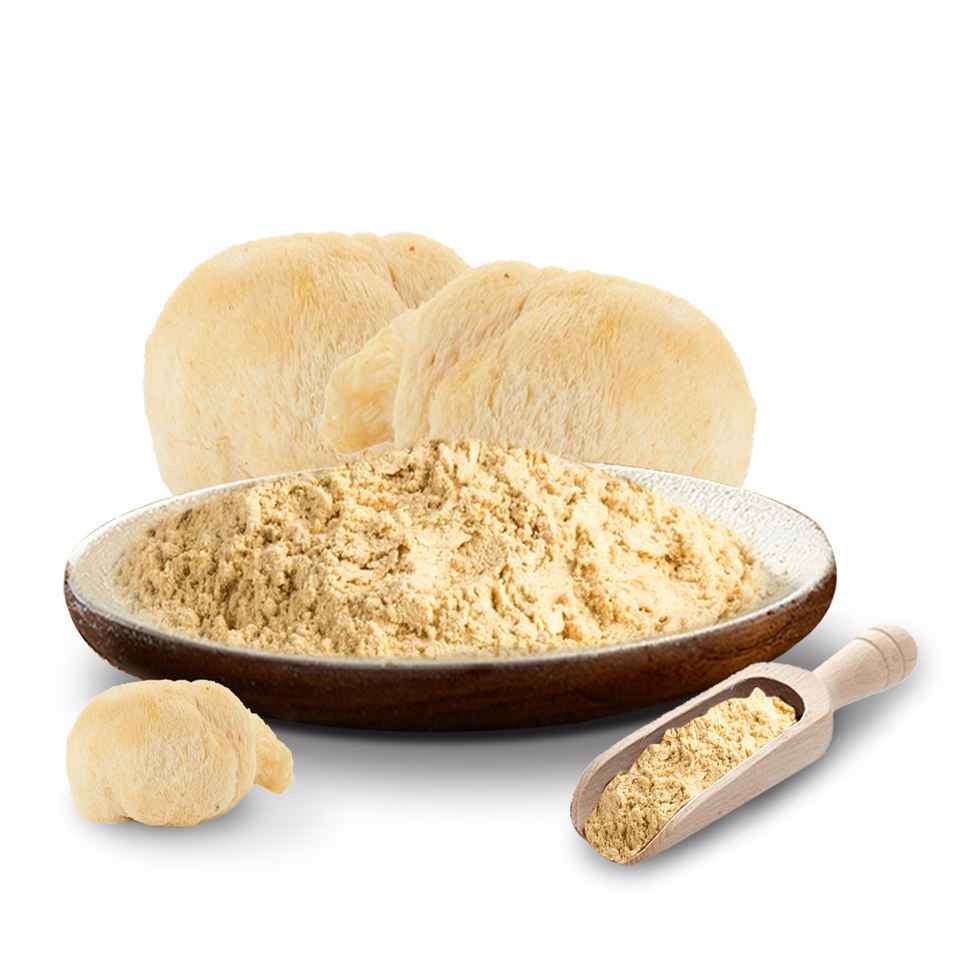 High Quality 10:1 Lions Mane Mushroom Extract Powder 30% Beta D Glucan for Brain benefit