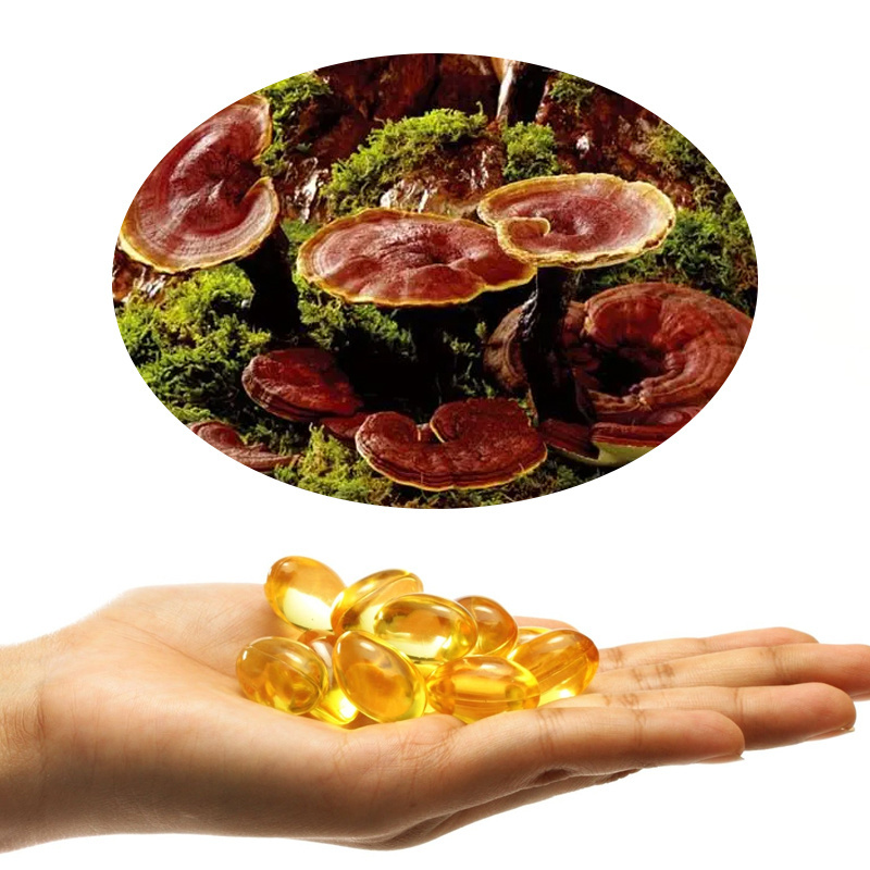 Reishi Mushroom Spore Oil Capsules Ganoderma Spore Oil Softgel Ganoderma Lucidum Spore Power Oil Soft Capsule