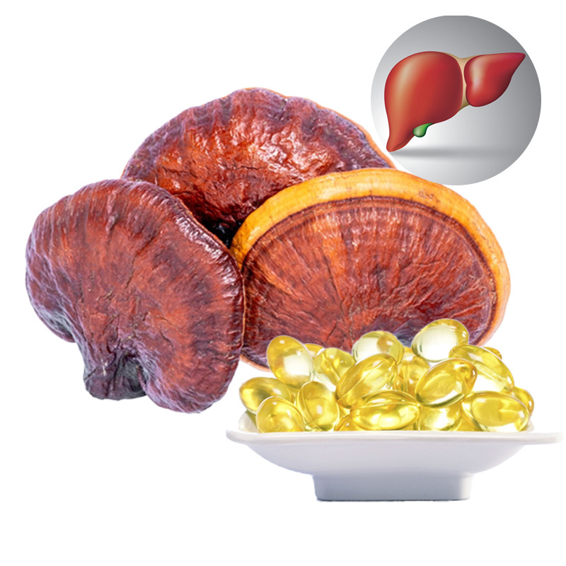 Reishi Mushroom Spore Oil Capsules Ganoderma Spore Oil Softgel Ganoderma Lucidum Spore Power Oil Soft Capsule