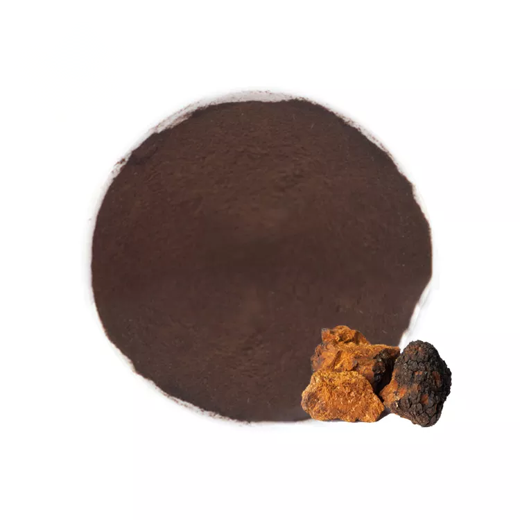 Food Grade Organic 10:1 Chaga Mushroom Extract Powder Chaga Extract 20% polysaccharide Chaga Extract Powder