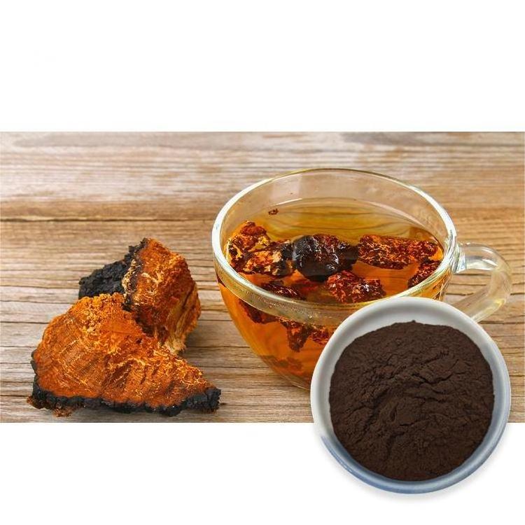 Food Grade Organic 10:1 Chaga Mushroom Extract Powder Chaga Extract 20% polysaccharide Chaga Extract Powder