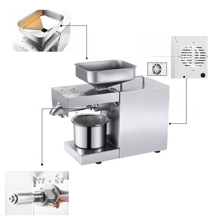 Professional Walnut Oil Extraction/Sesame Seeds Oil Press/Peanut Oil Press Machine For Home Use