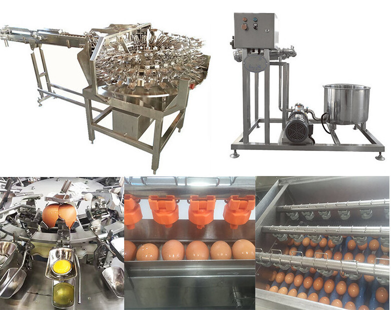 Automatic Egg Cleaning Machine Dryer Egg Yolk and White Separator Egg Breaking Machine