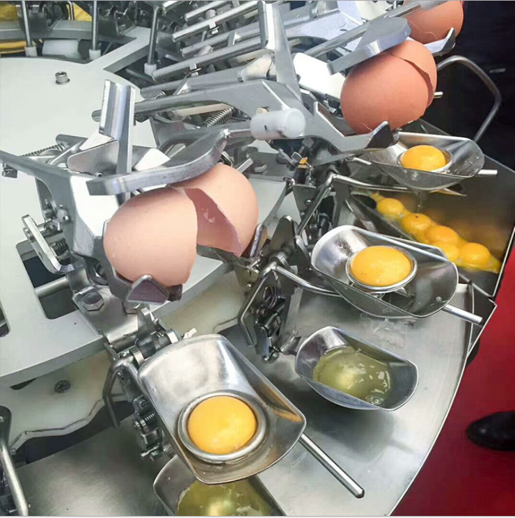 Automatic Egg Cleaning Machine Dryer Egg Yolk and White Separator Egg Breaking Machine