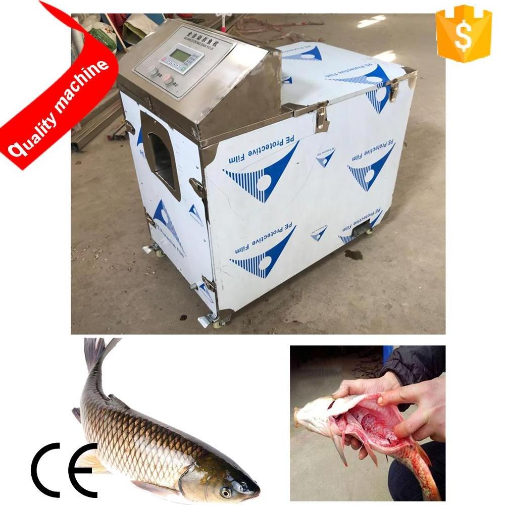 high quality  automatic fish cleaning machine/fish killing scaling machine/fish filleting washing machine with low price