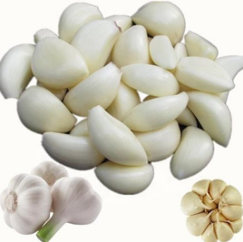 Automatic garlic processing equipment Garlic Peeling Machine Garlic Peeler Machine Price