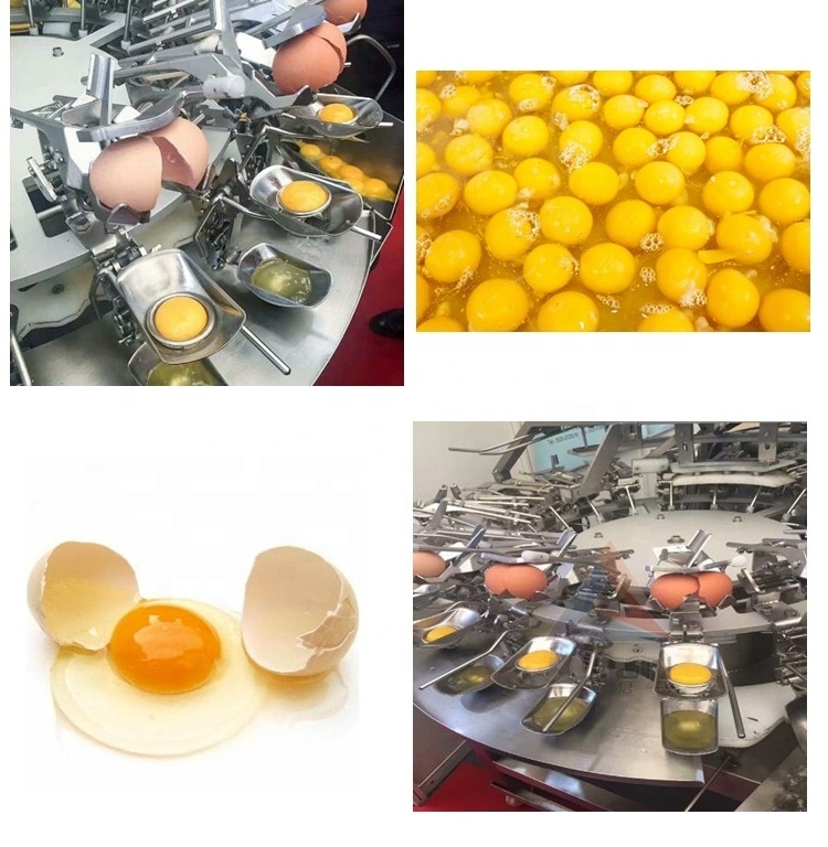 Automatic Egg Cleaning Machine Dryer Egg Yolk and White Separator Egg Breaking Machine