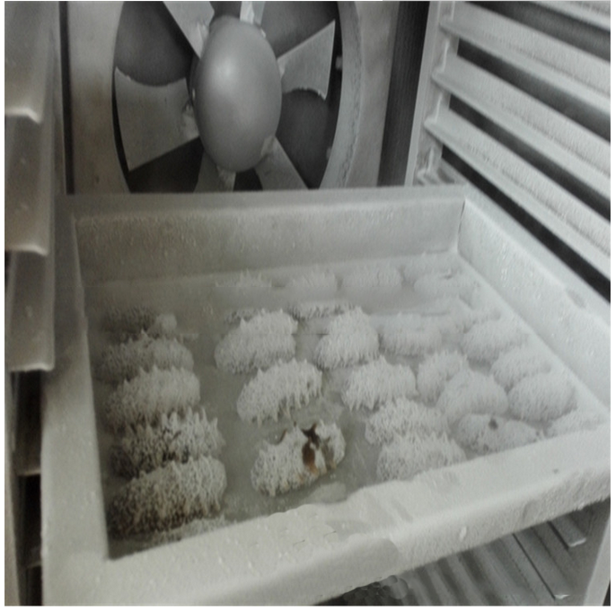 Quick Freeze Tunnel, Food Quick Freeze Machine, Food Quick Freezing Tunnel Equipment