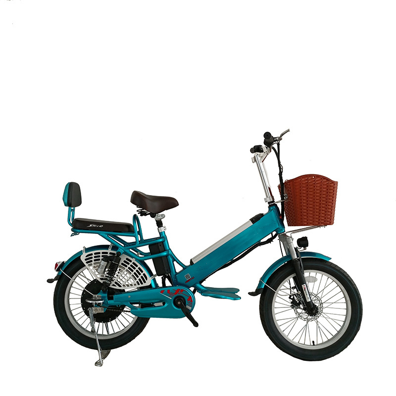 20 inch wheel frame 48v12ah+20ah dual lithium batteries 48v/350w motor cargo ebike electric bike for delivery