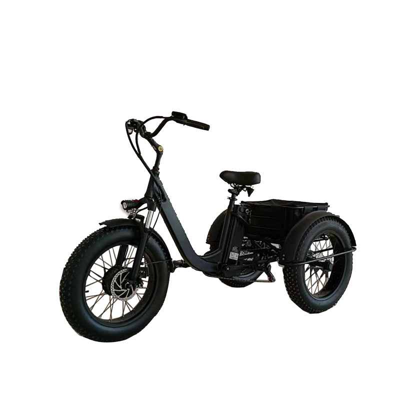 3 wheel electric tricycle tadpole recumbent trike /1000w electric trike electric fat tire trike adult /electric trike