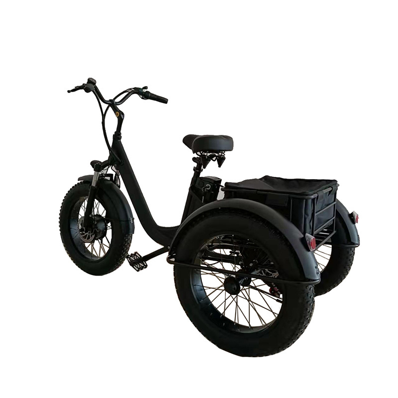 3 wheel electric tricycle tadpole recumbent trike /1000w electric trike electric fat tire trike adult /electric trike